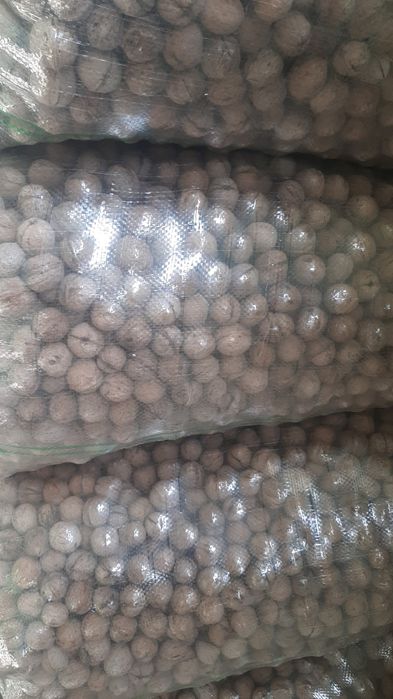 Орехи грецкие жангак