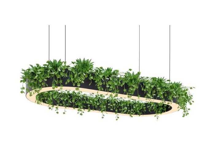 LED Chiroq + Shar eng  yoqmliy yorug'lik