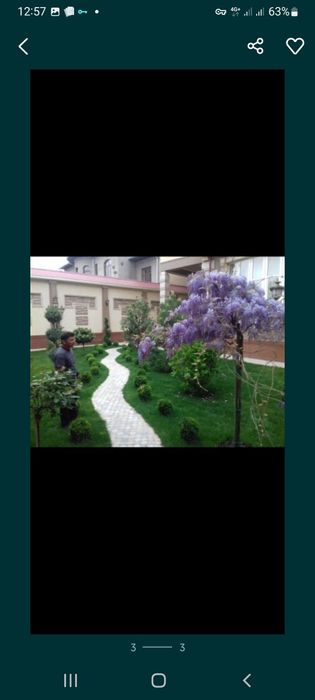 Газон экиш Автополивное система и газон