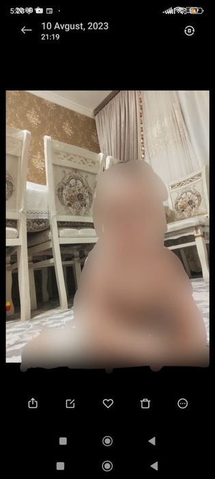 Stol-stul 10 kishilik, Стол и стул 10 персон.