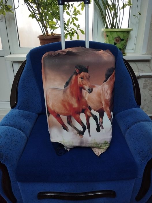 Чемодан на колёсах