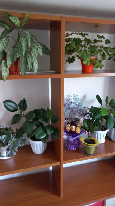 Шкаф в хорошем состоянии