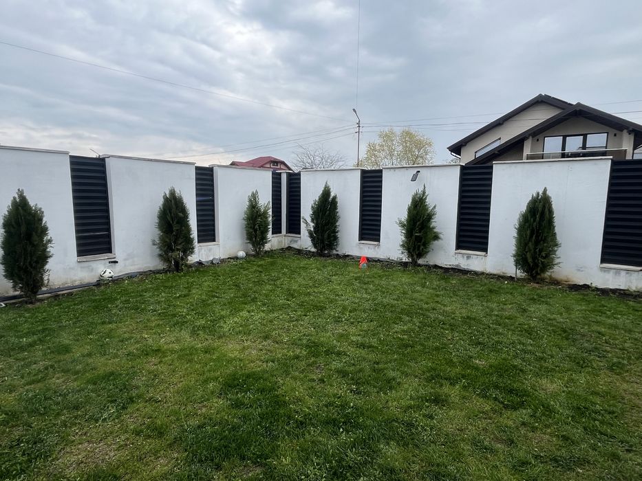 Vand Tuia 180 cm 22 bucati 60 lei/buc