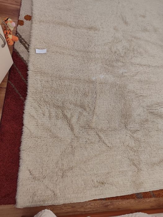 Запазен вълнен китеник