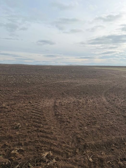 Земля 5.300 гектар