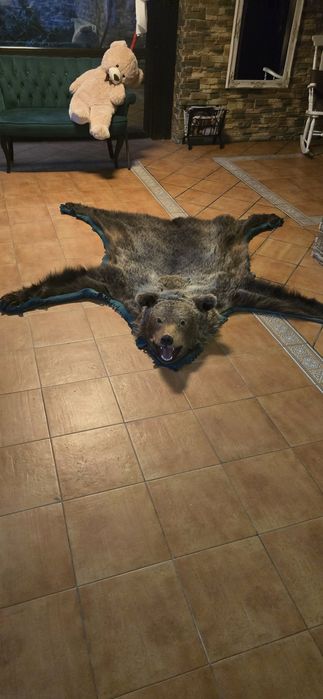 Vand Trofeu Urs brun