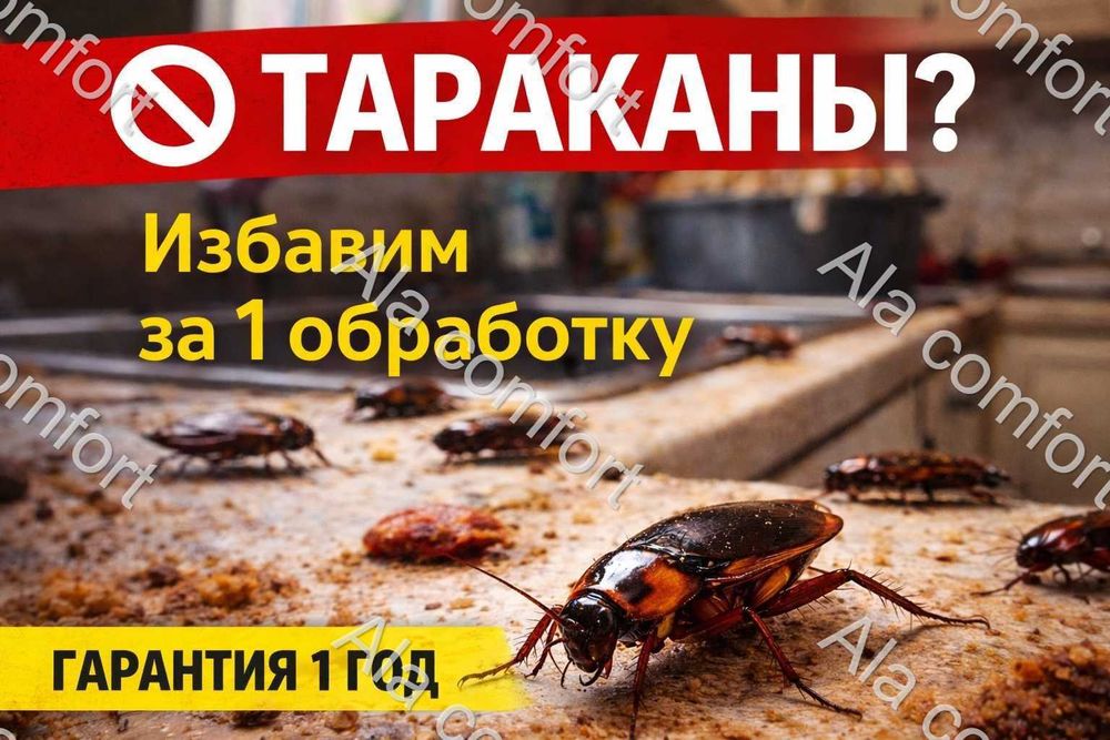 СЭС обработка от тараканов и клопов. Цены узнаете при звонке