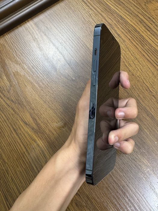 iPhone 12 Pro Max