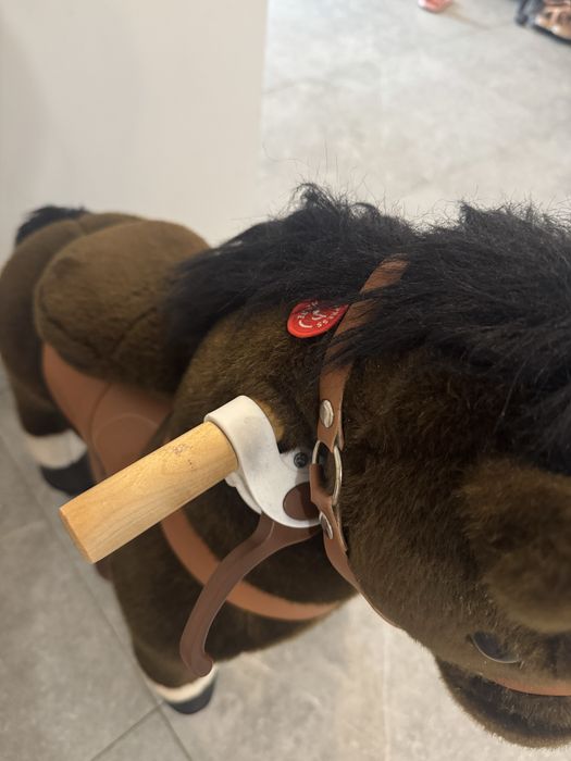 Ponei  cu roti, PonyCycle