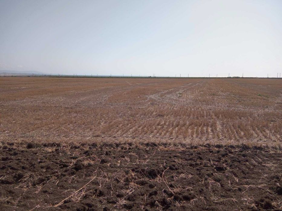 Продава се Парцел в Поморие - 8148 кв.м за 6 €/кв.м - Снимка #7