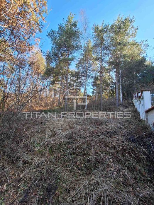 Продава се Парцел в с. Гълъбово, Област Пловдив - 1800 кв.м за 85 €/кв.м - Снимка #4