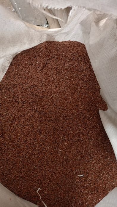 Продам Лён срочно