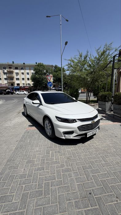 Malibu 2 / 2018 ideal