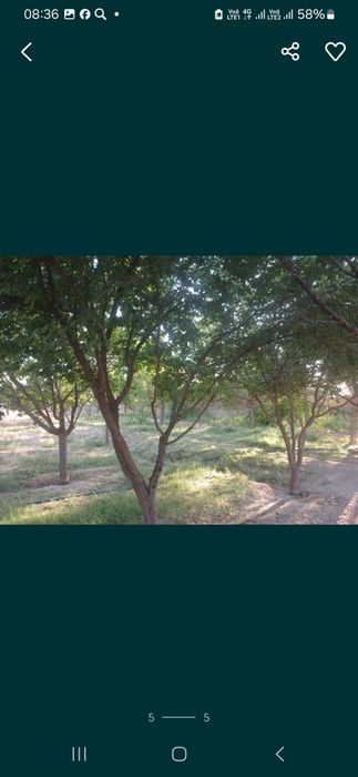 Земельный участок, Ер участкаси