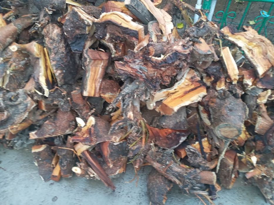 Òtin pechkabob quruq yorilgan