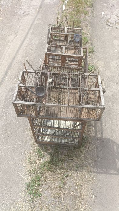 Клетки ловушки для птиц