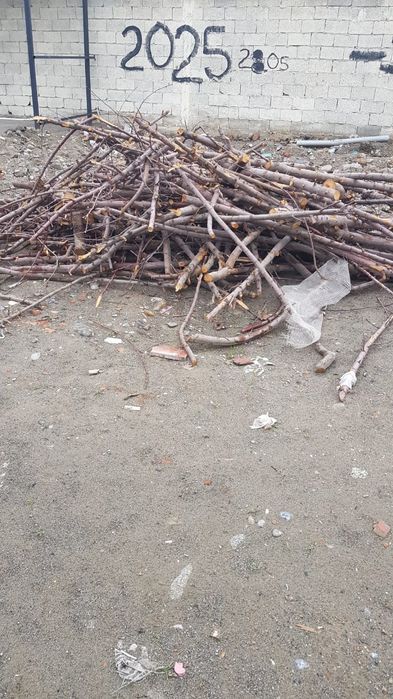 Срочно сотилади Утинлар бор урик ва шафтоли дарахтники видеосиям бор .