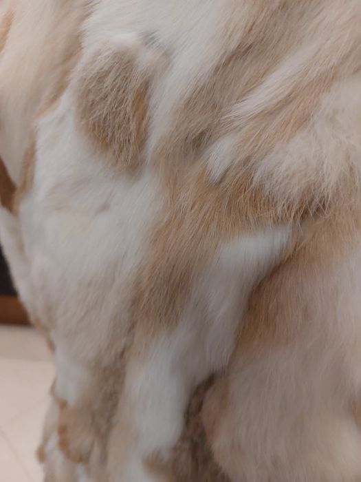 Палто заек и елек лисица