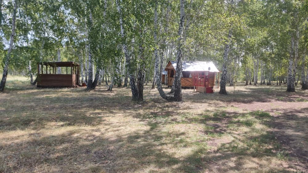 Отдых за городом