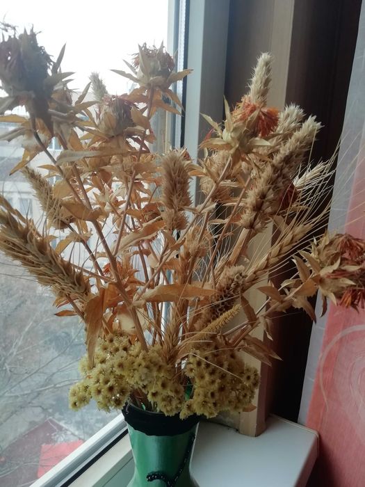 Сухоцветы для интерьера