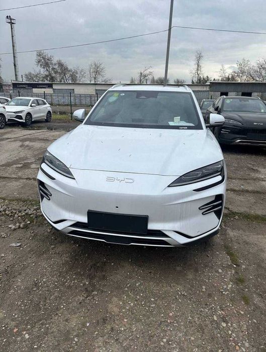 byd champion bonus bor