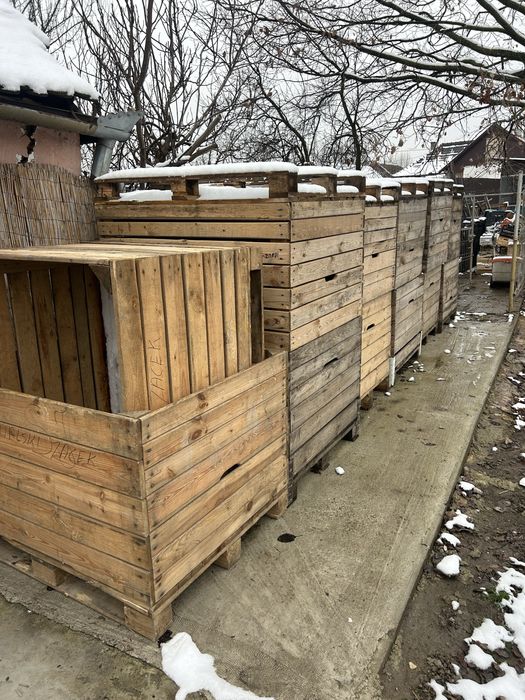 Lazi pentru fructe (mere)