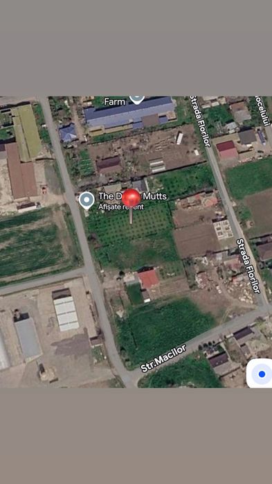 Teren intravilan 1.430 mp cu livadă de pruni pe rod – Topraisar