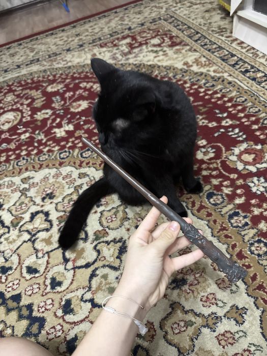 Продаю палочку гарри поттера