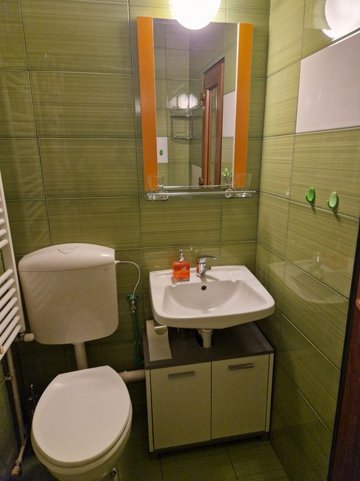 proprietar inchiriez o camera la  casa