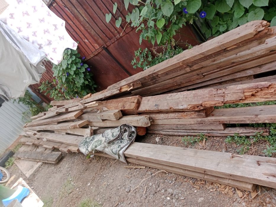 Продам срочно агаш