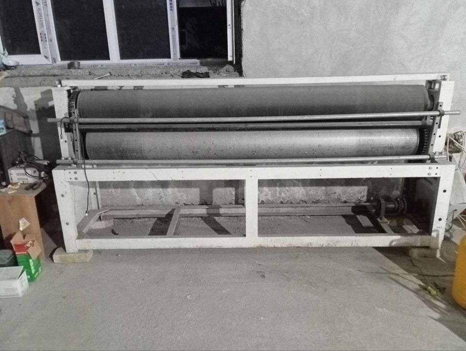 Yoriqli gozal mushuk