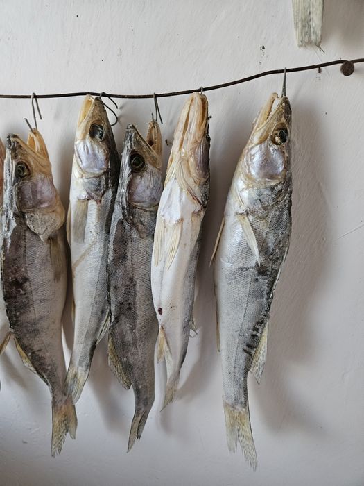 Сушоный Судак по 200 тн