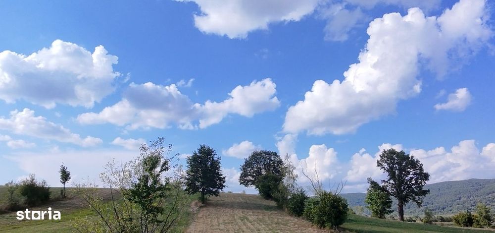 Șinca Nouă – 8.439 mp pentru agricultură, apicultură și investiție