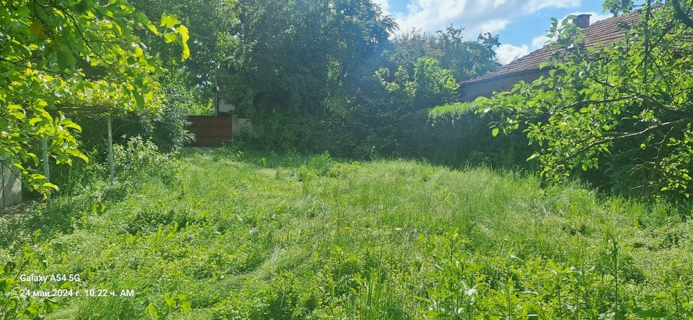 Косене и Почистване на дворове и стари къщи.рязана на опасни дървета