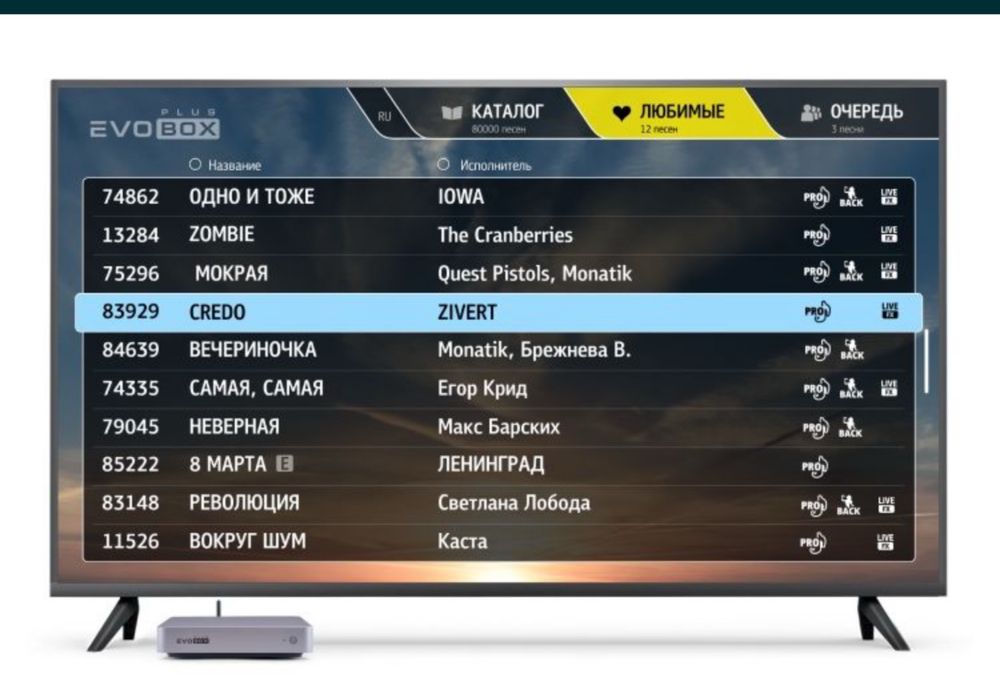 Караоке системы Studio EVOLUTION  EVOBOX PLUS Ast 50