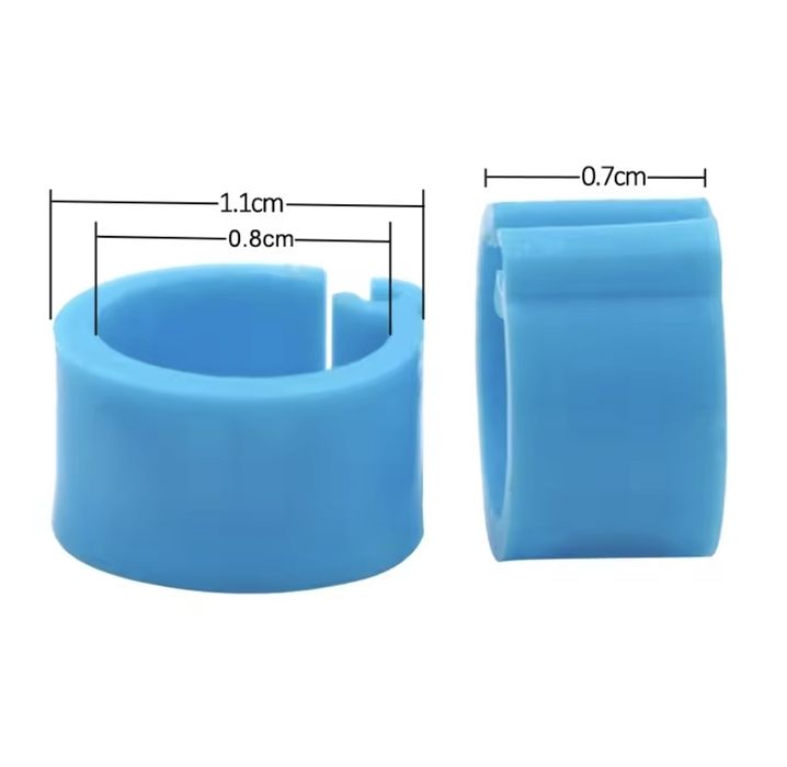 Inele porumbei/ păsări