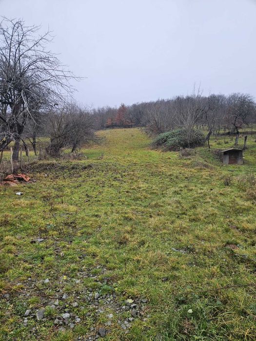 Vand teren intravilan/extravilan in Sat Inau, comuna Somes-Odorhei