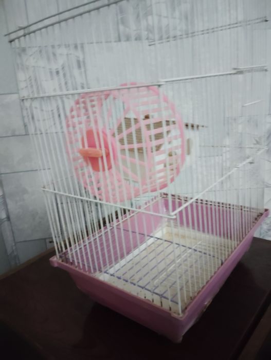 Клетка для грызунов, и птиц!