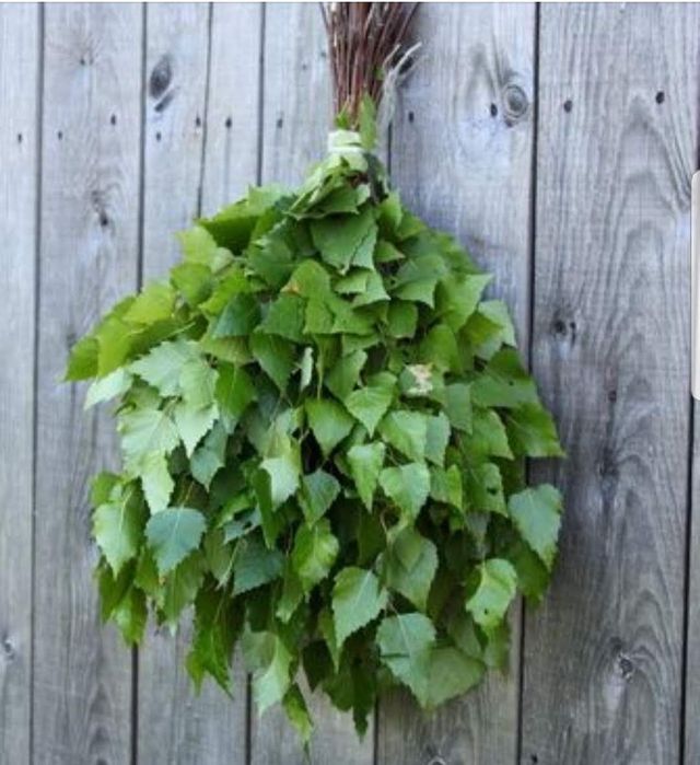 Продам березовые веники