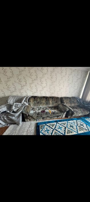 Отдам бесплатно самовывоз.