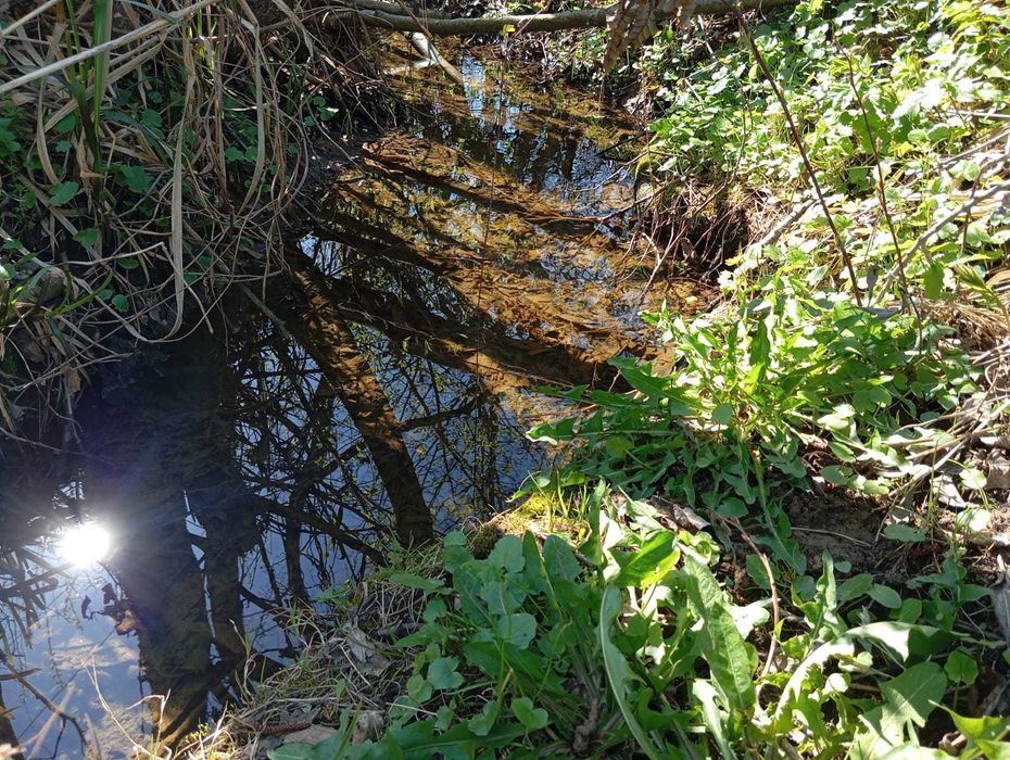 Teren 1.000 mp Cabană, Casă de Vacanță – Vulcan, lângă Brașov