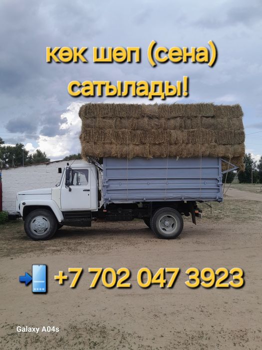 Көк шөп (сена, первокос) сатылады