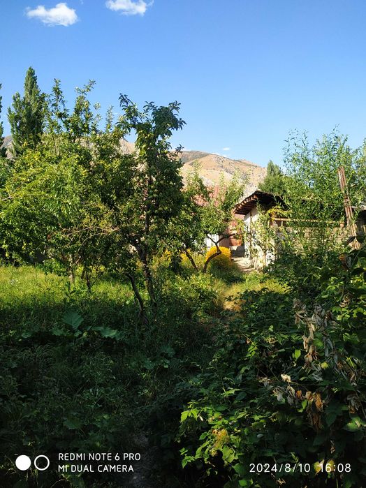 Ховли сотилади дача учун Зур жой