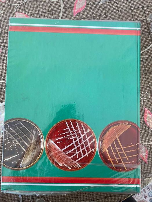 Микробикинидің HQ суреті