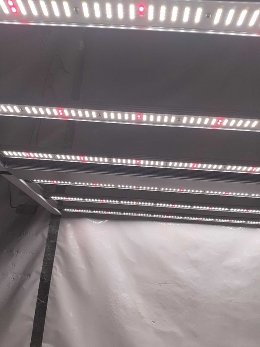 VXLED 660 PRO led grow light