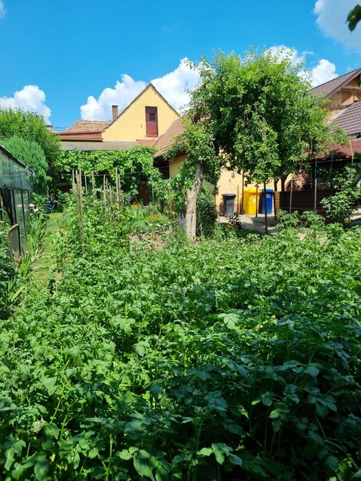 Casa de vanzare in Localitatea Dârlos judetul Sibiu