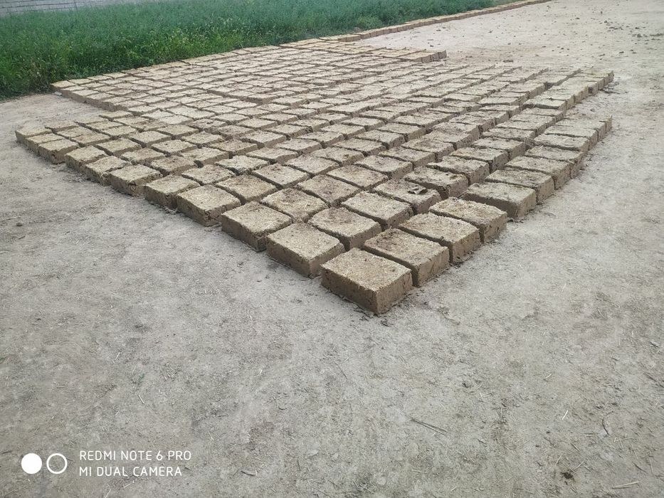 Хом гишт сотилади