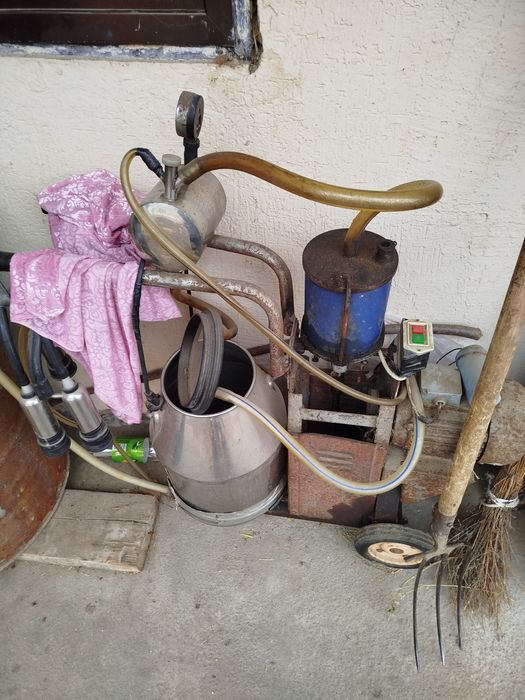 Доильный аппарат