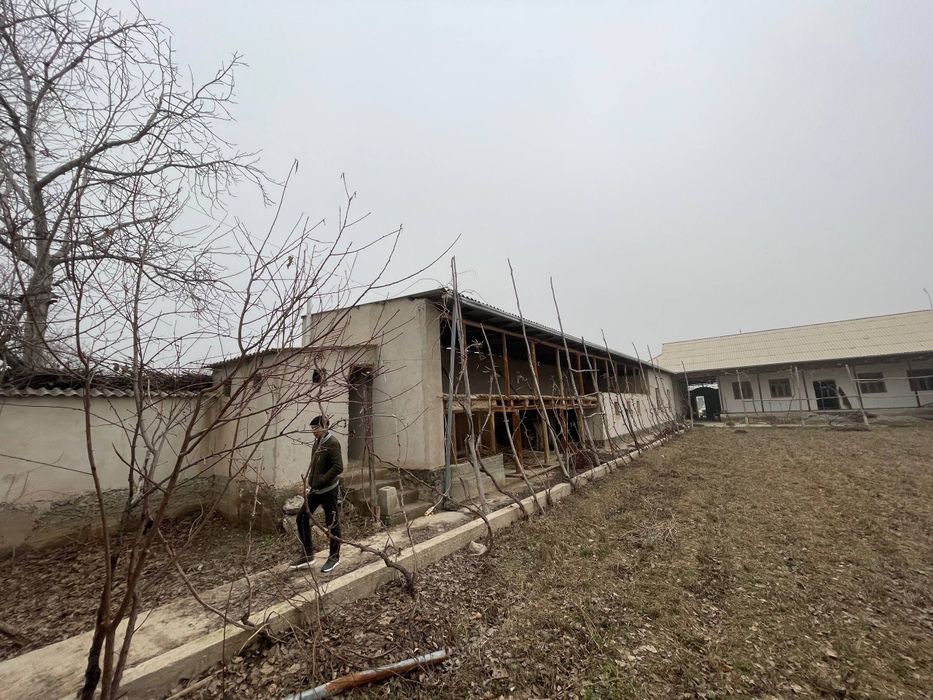 Арентр  Кушчи, парчайуз, 5 - Чи