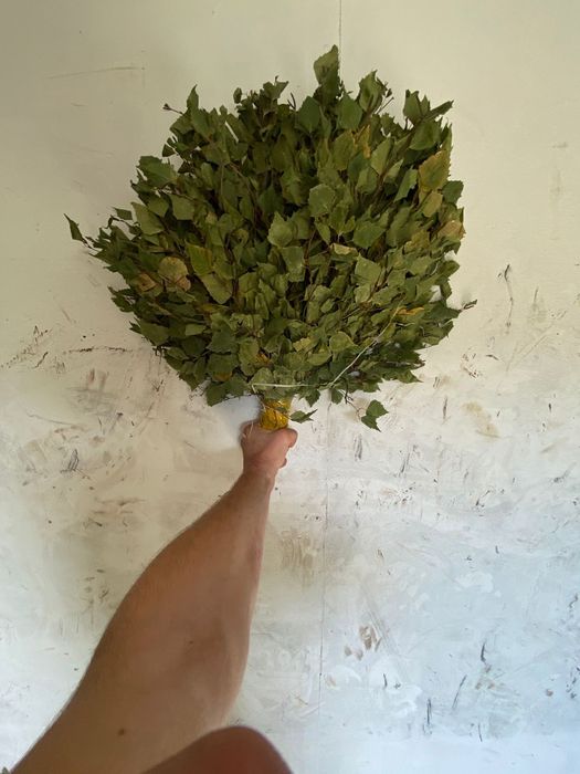 Веники берёзовые